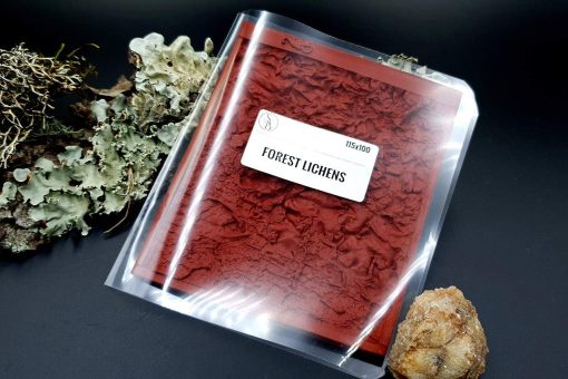Silicone Texture Forest Lichens - 115x100mm - Image 11