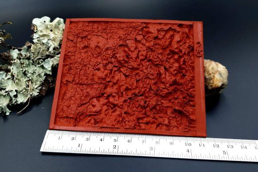 Silicone Texture Forest Lichens - 115x100mm - Image 9