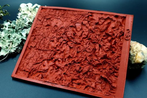 Silicone Texture Forest Lichens - 115x100mm - Image 8