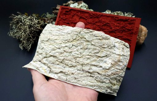 Silicone Texture Tree Bark #1 - 155x90mm - Image 8