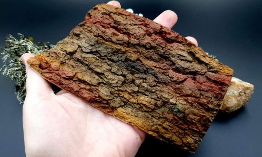 Silicone Texture Tree Bark #1 - 155x90mm - Image 4