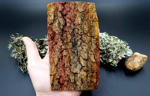Silicone Texture Tree Bark #1 - 155x90mm - Image 3