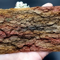 Silicone Texture Tree Bark #1 - 155x90mm