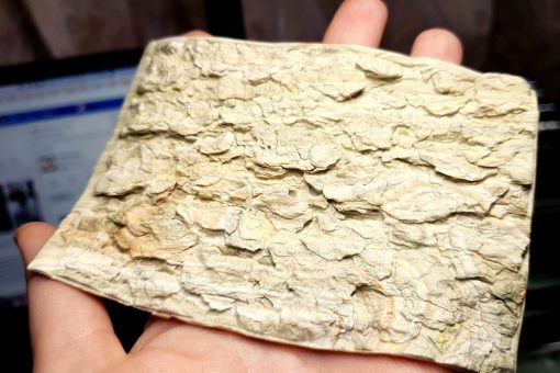 Silicone Texture Tree Bark #2 - 120x80mm - 画像 (3)