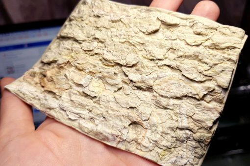 Silicone Texture Tree Bark #2 - 120x80mm - 画像 (2)