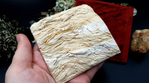 Silicone Texture Drift Wood #2 - 95x90mm - 画像 (7)