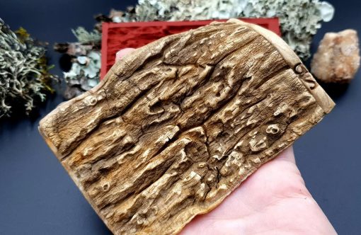 Silicone Texture Drift Wood #3 - 120x80mm - Image 3