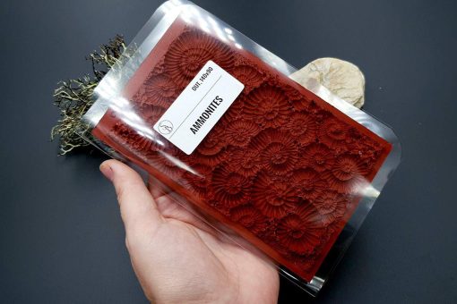 Silicone Texture Ammonites - 140x90mm - Image 12