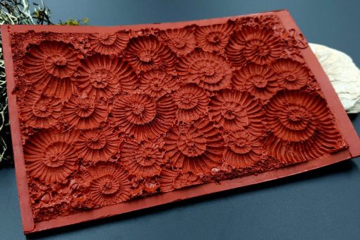 Silicone Texture Ammonites - 140x90mm - Image 11