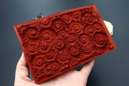 Silicone Texture Ammonites - 140x90mm - Image 10