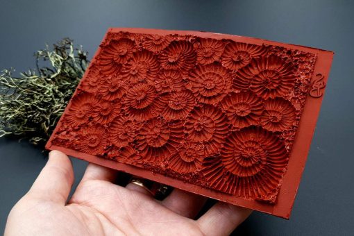 Silicone Texture Ammonites - 140x90mm - Image 9