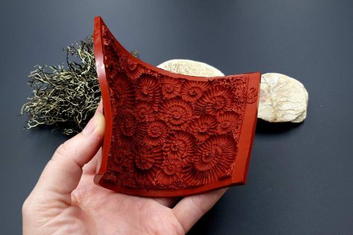 Silicone Texture Ammonites - 140x90mm - Image 8