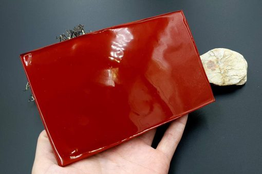 Silicone Texture Ammonites - 140x90mm - Image 7