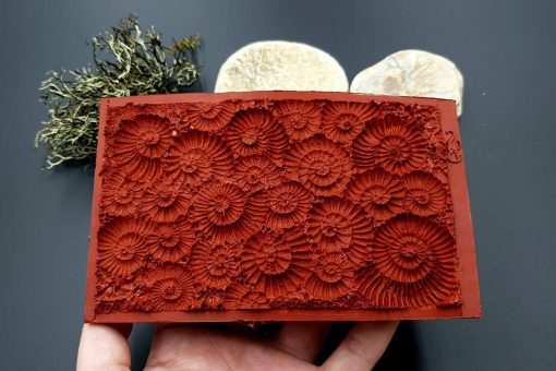 Silicone Texture Ammonites - 140x90mm - Image 6