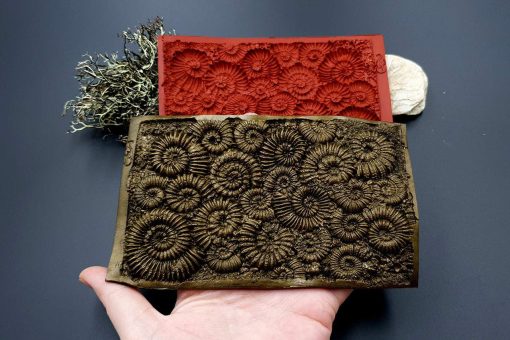 Silicone Texture Ammonites - 140x90mm - Image 5