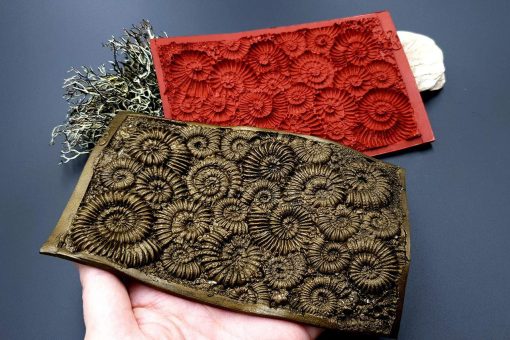 Silicone Texture Ammonites - 140x90mm