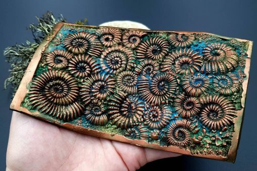 Silicone Texture Ammonites - 140x90mm - Image 4