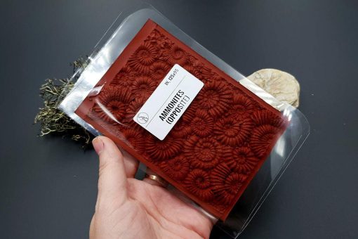 Silicone Texture Ammonites (Opposite) - 140x90mm - Image 12