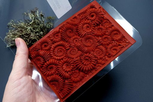 Silicone Texture Ammonites (Opposite) - 140x90mm - Image 11