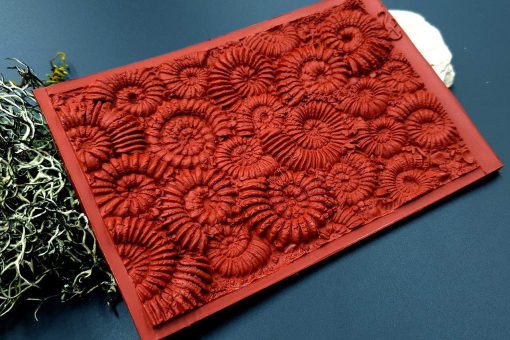 Silicone Texture Ammonites (Opposite) - 140x90mm - Image 10