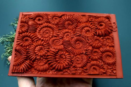 Silicone Texture Ammonites (Opposite) - 140x90mm - Image 9