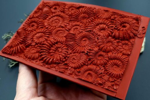 Silicone Texture Ammonites (Opposite) - 140x90mm - Image 8