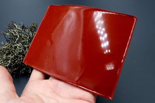 Silicone Texture Ammonites (Opposite) - 140x90mm - Image 6