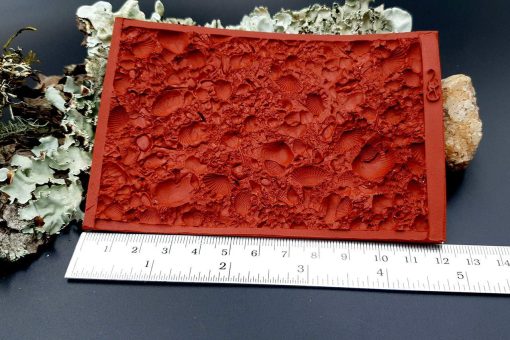 Silicone Texture The Sea Bottom 2 - 125x80mm - Image 9