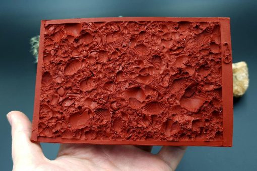 Silicone Texture The Sea Bottom 2 - 125x80mm - Image 8