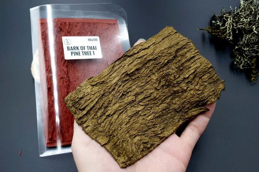 Silicone Texture Bark of Thai Pine Tree #2 #13113