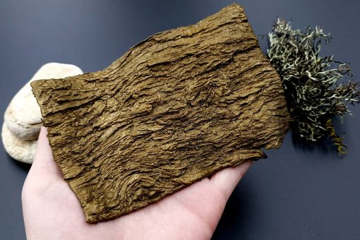 Silicone Texture Bark of Thai Pine Tree #2 #13115