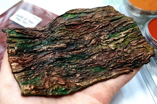 Silicone Texture Bark of Thai Pine Tree #2 #13120