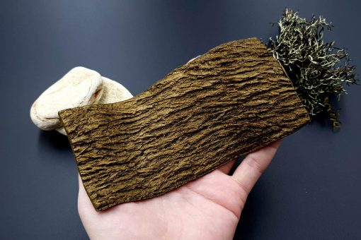 Silicone Texture Bark of Thai Pine Tree #2 #13124