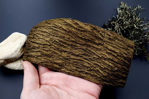 Silicone Texture Bark of Thai Pine Tree #2 #13125