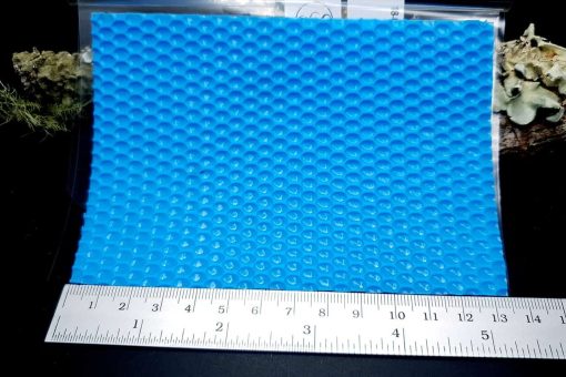 Eggs - Silicone Texture, Small Size #11781