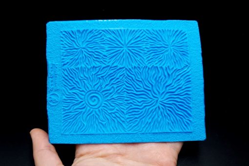 Mushrooms And The Sun #13015