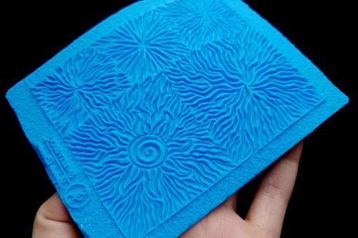 Mushrooms And The Sun #13019