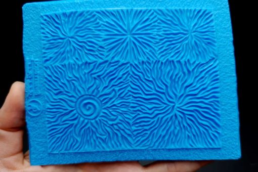 Mushrooms And The Sun #13024