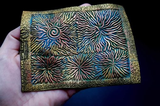 Mushrooms And The Sun #13054