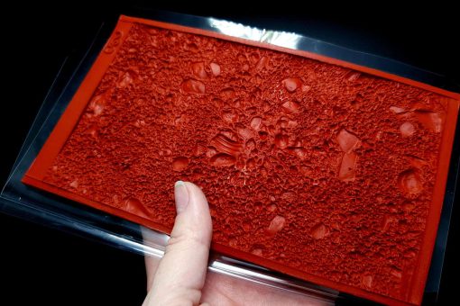 Sand With Shells #13080