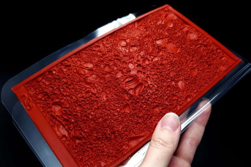 Sand With Shells #13083