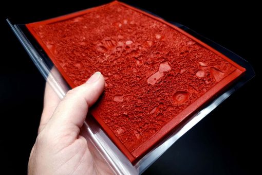 Sand With Shells #13086