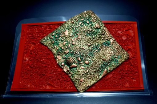 Sand With Shells #13097