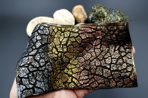 Silicone Texture Cracked Soil (140x80mm) #17846