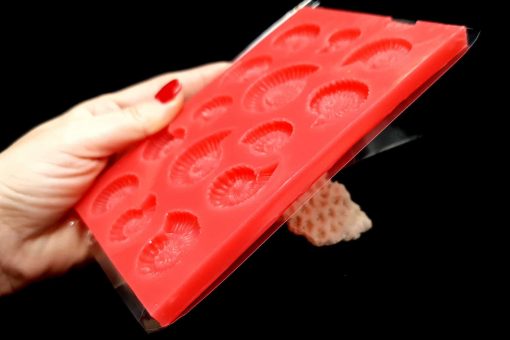 Large Ammonites Mold #1 #21923