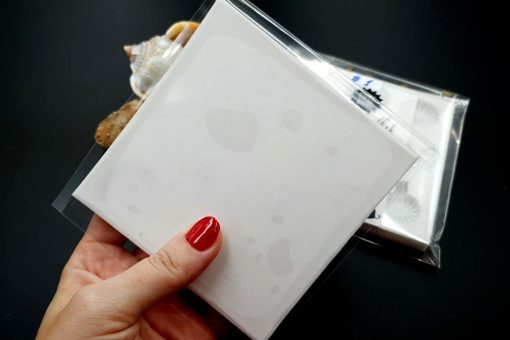 Square Medium Ammonites Mold #1 #21944