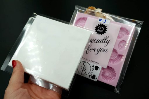 Square Medium Ammonites Mold #3 #21936