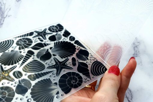 Double side texture "Sea Shells and Stars" #23342