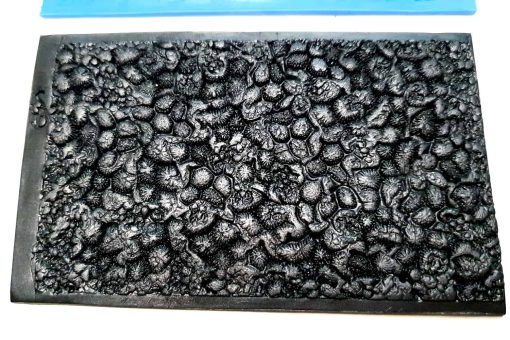 The Coral Reef #25084