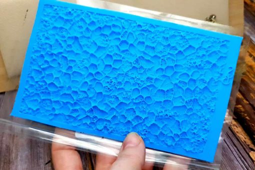 The Coral Reef #25113